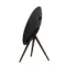 Bang &amp; Olufsen Beosound A9 5th Gen Black Anthracite