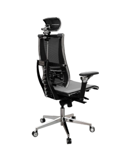 Эргономичное кресло Yoga Spine Triumph L2 (M06)