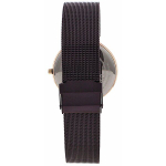Наручные часы Bering 14539-262