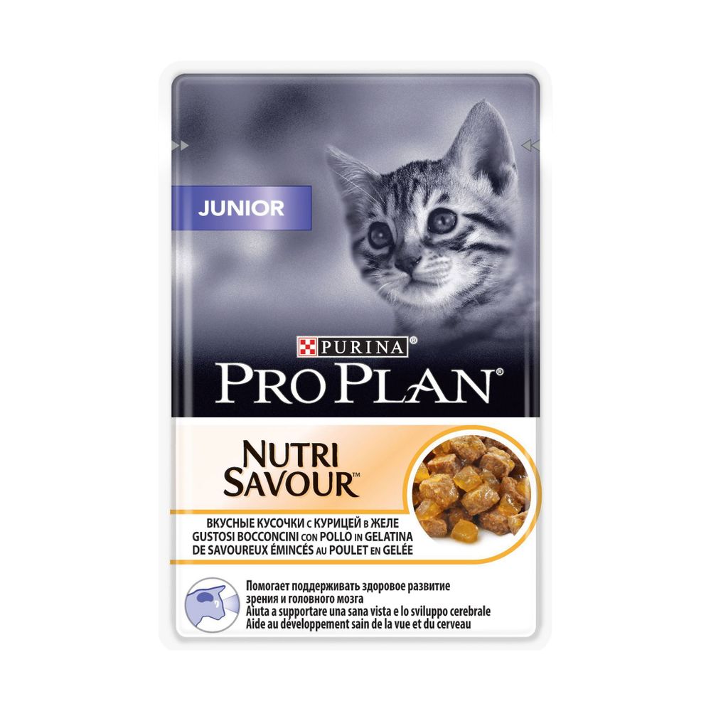 Влажный корм Pro Plan Junior для котят, курица в желе, 85 г Влажный корм Pro Plan Junior для котят, курица в желе, 85 г