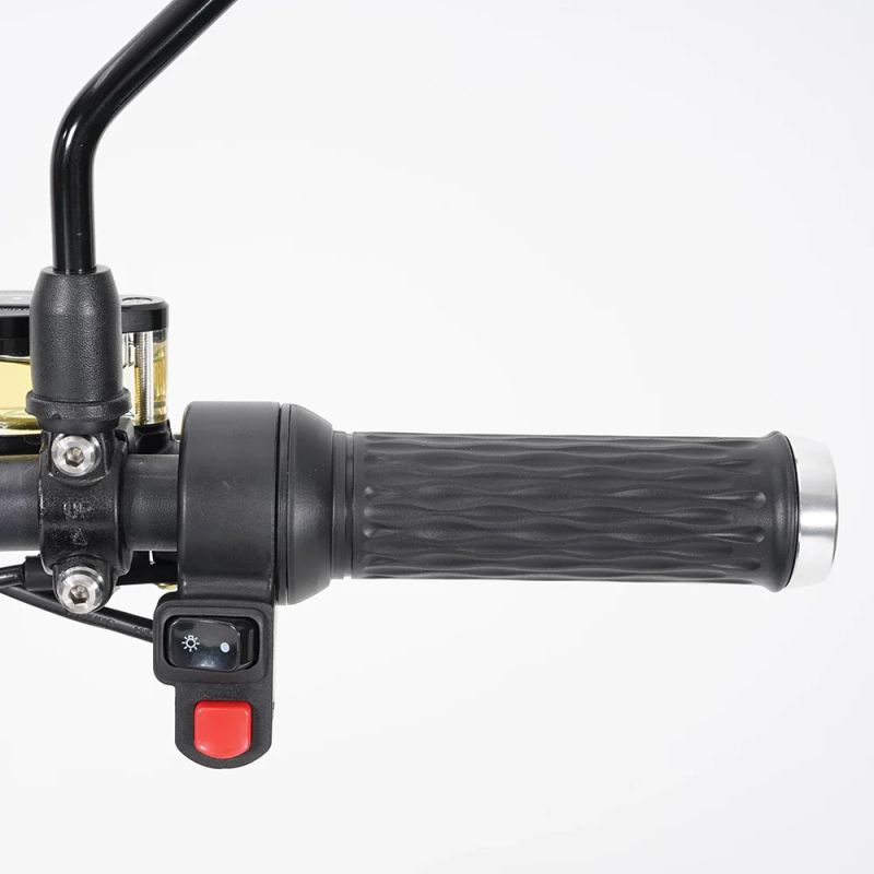 Электроскутер Mangosteen M1P 60V2000W30A (В НАЛИЧИИ)