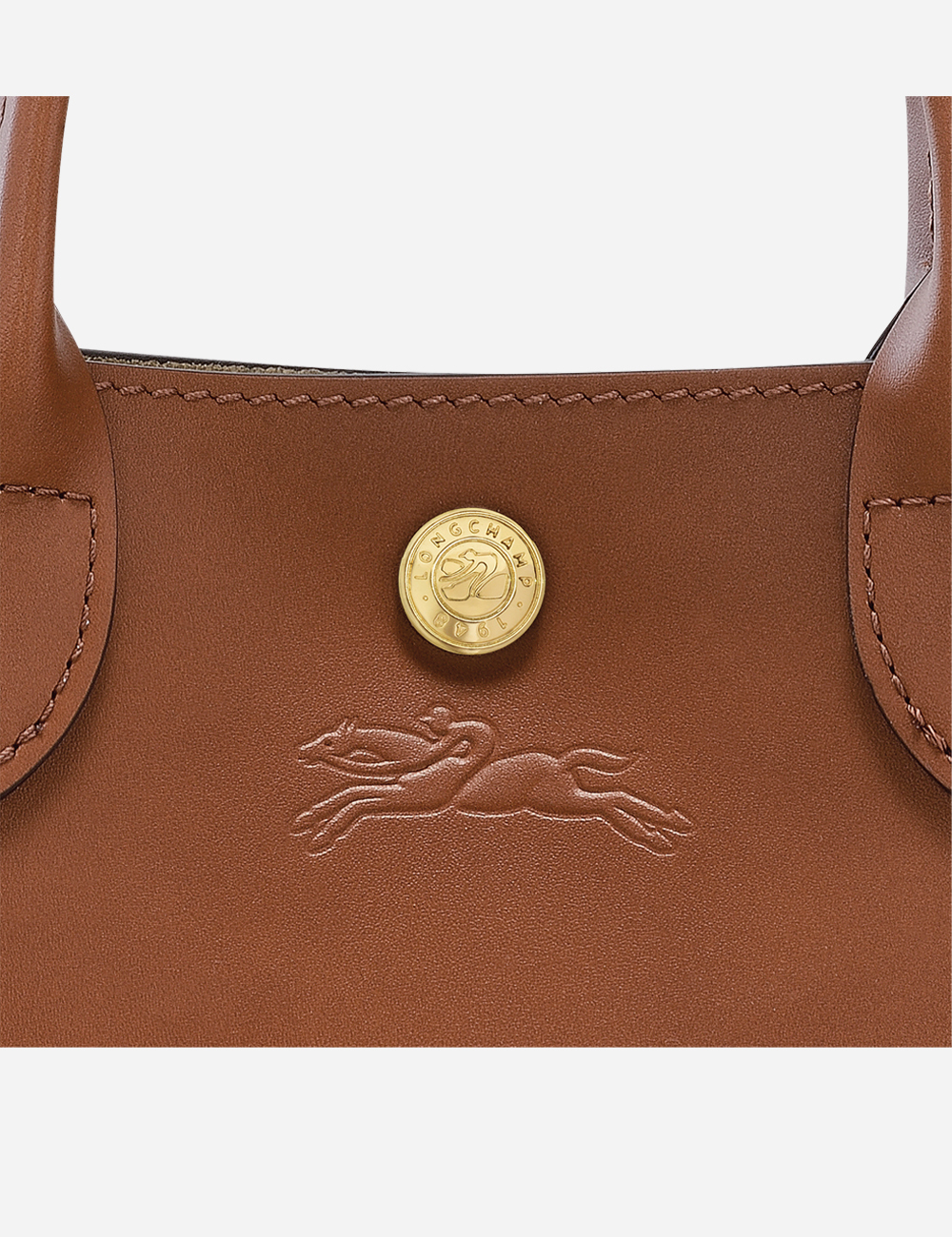 Longchamp Epure XS Brown (10269HFY504)