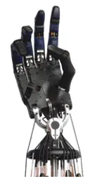 Фотография — Робот Shadow Robot Company Shadow Hand