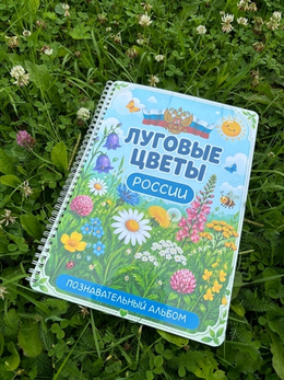 Альбомы игр на липучках