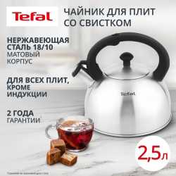 Чайник для плиты Tefal Nova 2,5 л матовый N4210117