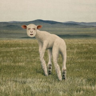 Альбом THORNAPPLE - ANIMAL EP Album