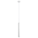 Подвесной светодиодный светильник Arte Lamp HUBBLE A6810SP-1WH