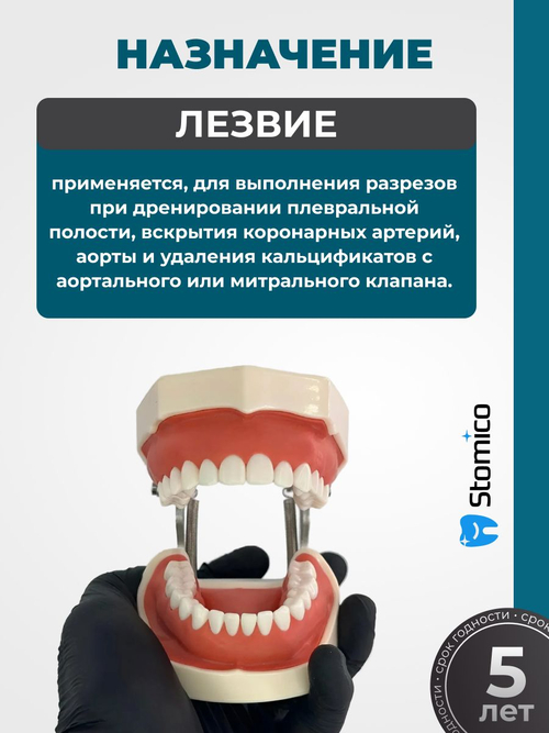 Лезвия хирургические одноразовые STEA для скальпеля №10 стерильные углеродистая сталь - 100 штук