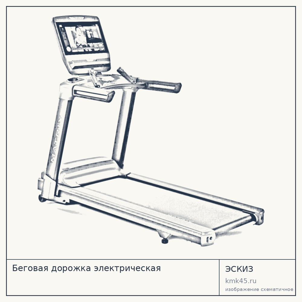 Беговая дорожка электрическая — от 1 210 000 ₽