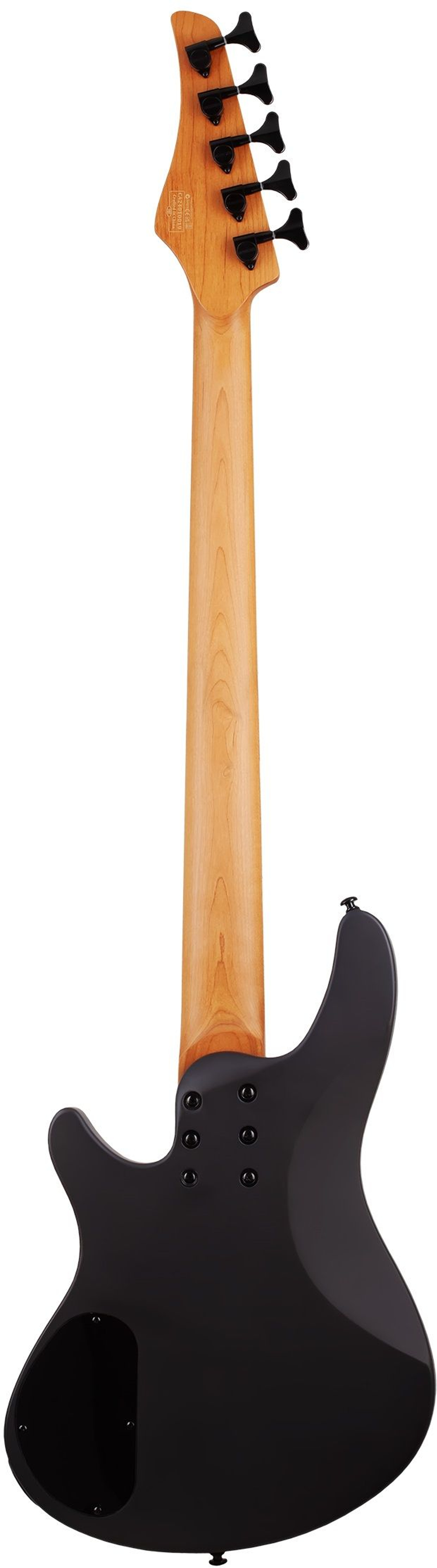 schecter_c-5_standard_cs_1_-30560636.jpg