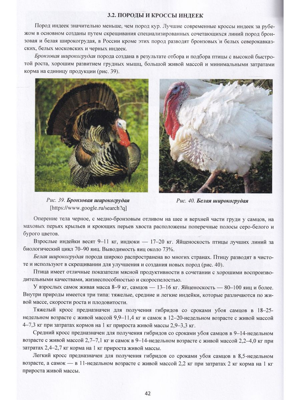 Фермерское и приусадебное птицеводство