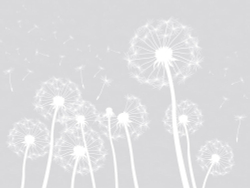 Коллекция Flower dreams 2