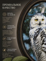 Картина на холсте в овальной раме «Совы» 27*37 см