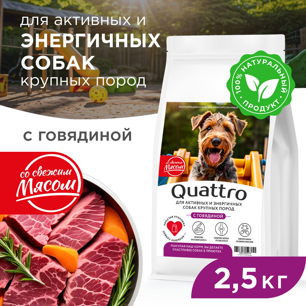 Корм сухой для взрослых собак крупных пород, премиум полнорационный комплекс, для активных и энергичных собак, с говядиной, 2,5 кг, QUATTRO