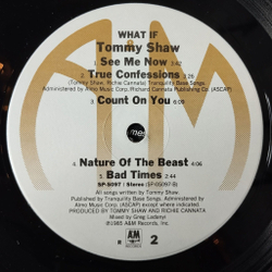 Винтажная виниловая пластинка LP Tommy Shaw What If (USA 1985)