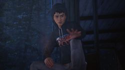 Life is Strange 2: полное издание