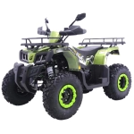Квадроцикл (комплект для сборки) Yacota WARRIOR 200 PRO зеленый