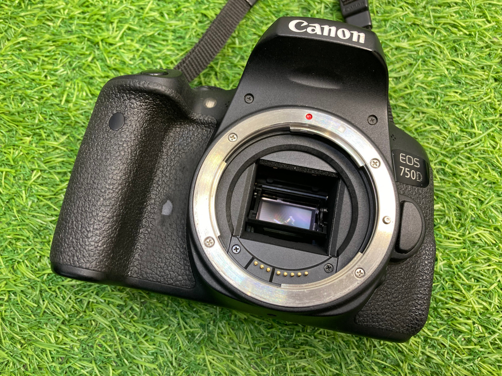 Canon EOS 750D (98.000 кадров)