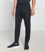 спортивные штаны Armani Exchange - темно-синий(6LZPAY ZJFAZ)
