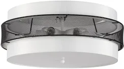 Потолочный светильник Animaisa 8002/6C Lumion