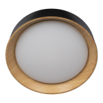Потолочный светодиодный светильник Loft It Coin 10202 Black