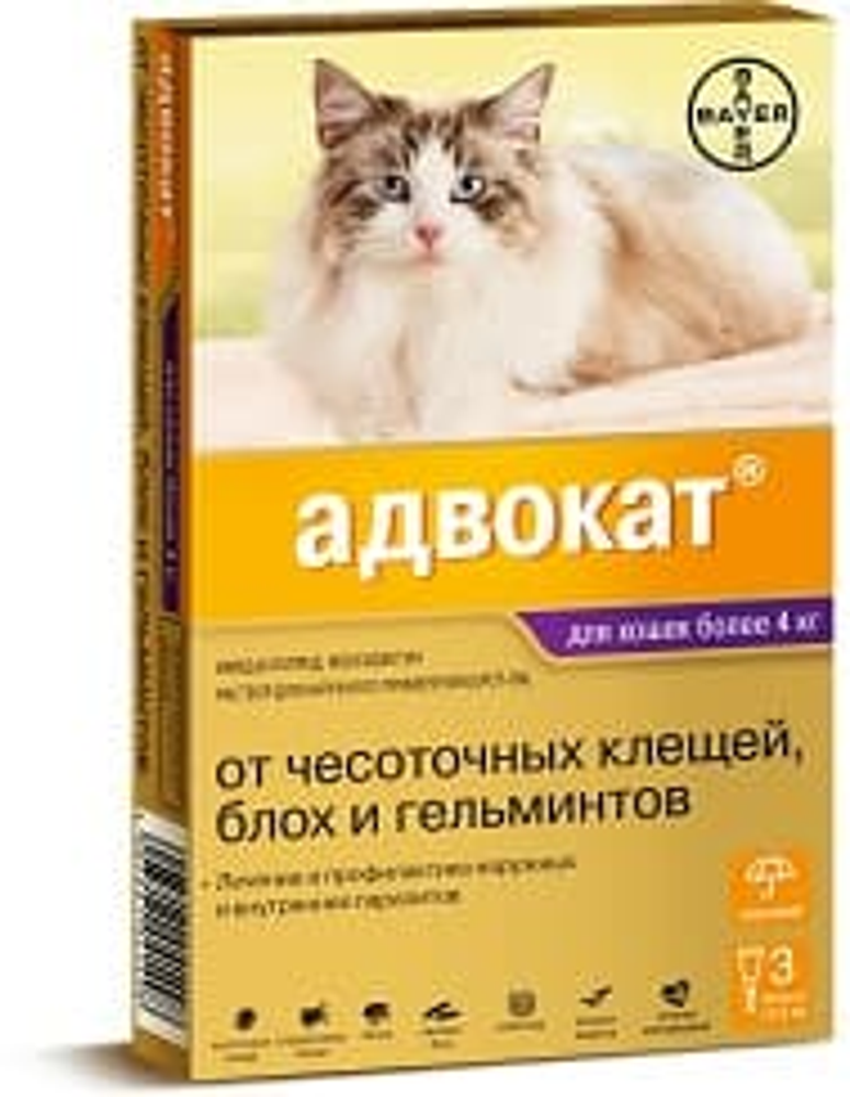 Bayer Адвокат для кошек 4-8 кг упаковка 3 пипетки по 0,8 мл (цена за 1 пипетку) Bayer Адвокат для кошек 4-8 кг упаковка 3 пипетки по 0,8 мл (цена за 1 пипетку)