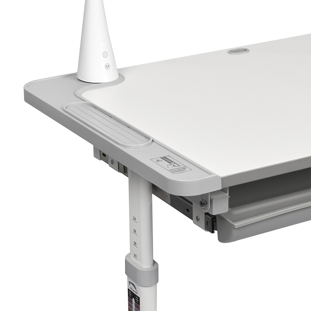Комплект растущей детской мебели Fundesk Littonia парта + стул + выдвижной ящик + подставка + лампа