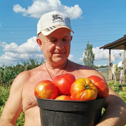 Комната Помидорных ГИГАНТОВ