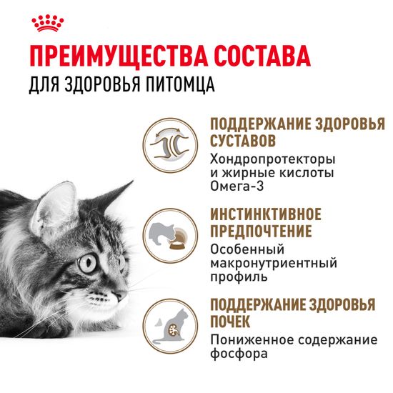 Royal Canin Ageing +12 влажный корм В СОУСЕ для пожилых кошек старше 12 лет с первыми признаками старения