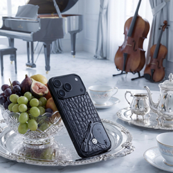 Чехол iPhone 18 pro max La Dolce Vita из кожи MiniCROC в интерьере — Euphoria HM
