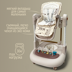 Многофункциональный стульчик для кормления 5в1 William