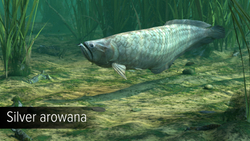 Ultimate Fishing Simulator - Amazon River (для ПК, цифровой код доступа)