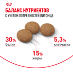 Royal Canin Ageing Sterilised 12+ Корм сухой полнорационный сбалансированный для стерилизованных стареющих кошек в возрасте старше 12 лет 4кг