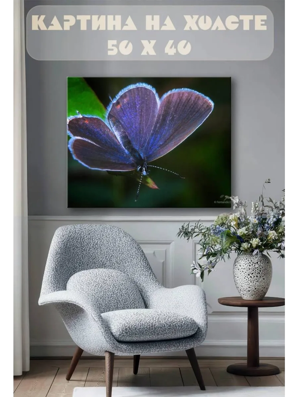 Картина на стену 40 X 50 Бабочка
