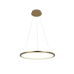 Подвесной светильник Ring 10014M Loft It