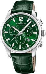 Наручные часы Candino C4774/8