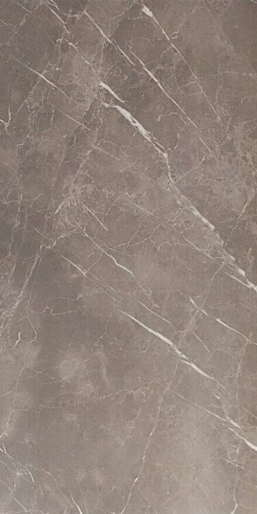 Pamesa Piave Argent 45x90