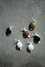 Набор магнитов snail, 6 шт.