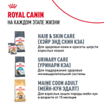 Royal Canin Maine Coon Kitten Киттен Мейн Кун Корм сухой для котят породы Мэйн Кун в возрасте от 4 до 15 месяцев 4кг