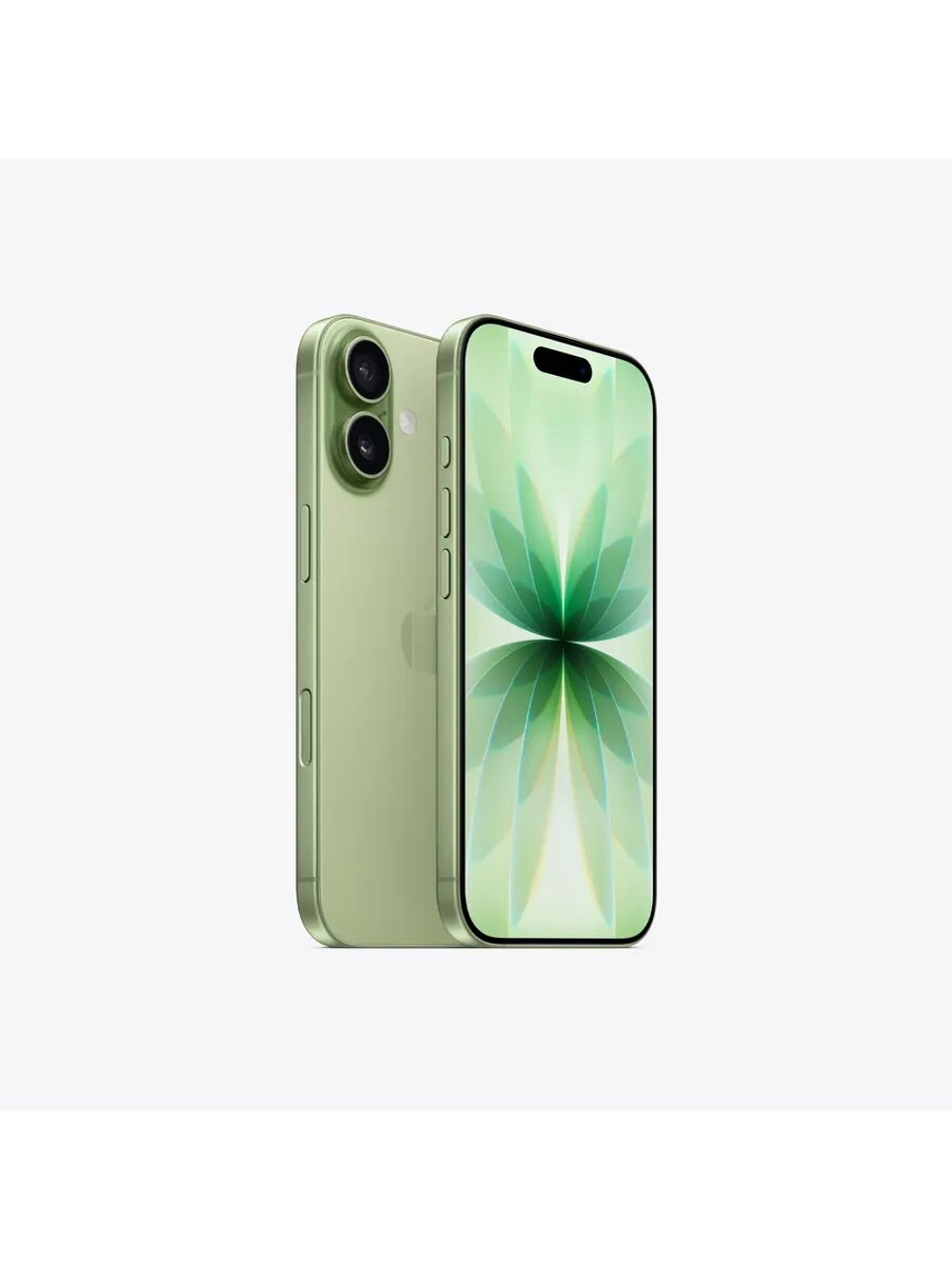 Смартфон Apple iPhone 17 256 Gb Sage (Зеленый) 2 Esim Без RuStore и MAX