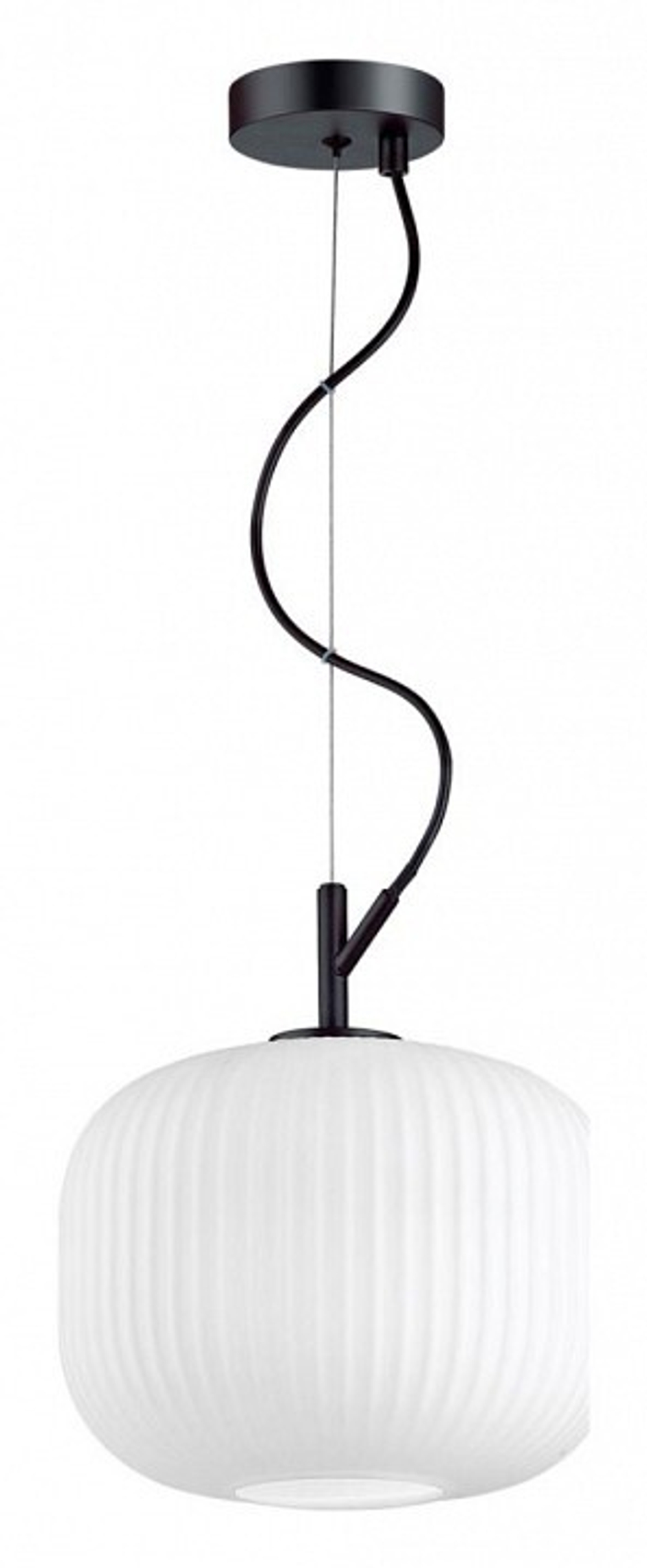 Подвесной светильник Odeon Light Roofi 4753/1