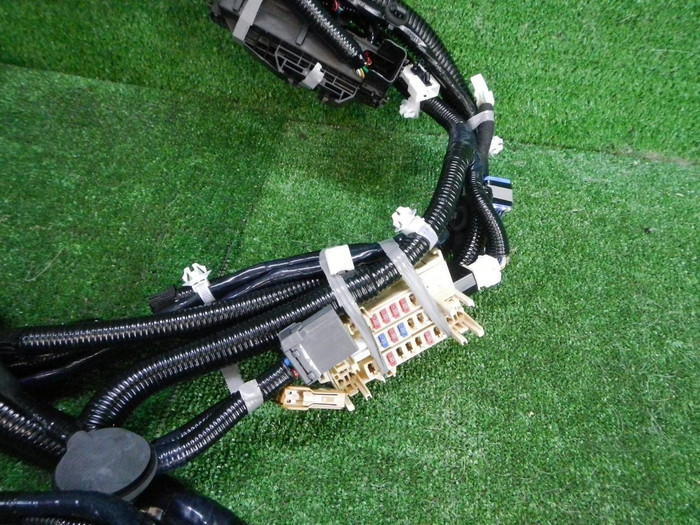 DSCN9523.JPG