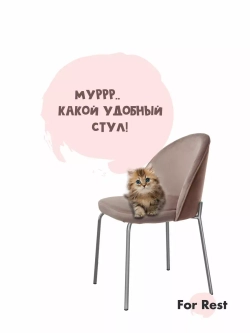 Стул "Мале" 1 шт. Ткань антивандальная. ножки серебряные.