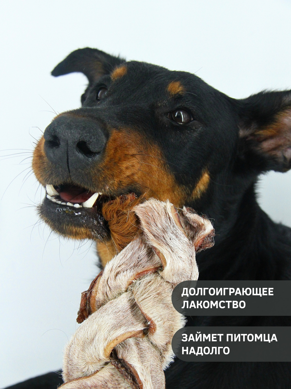 Говяжья кожа (шкура), косичка — лакомство для собак