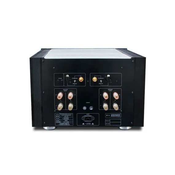 ToneWinner AD-1 PA