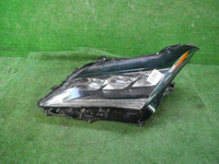 DSCN5302.JPG