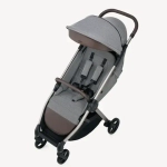 Коляска 2 в 1 Anex IQ Premium