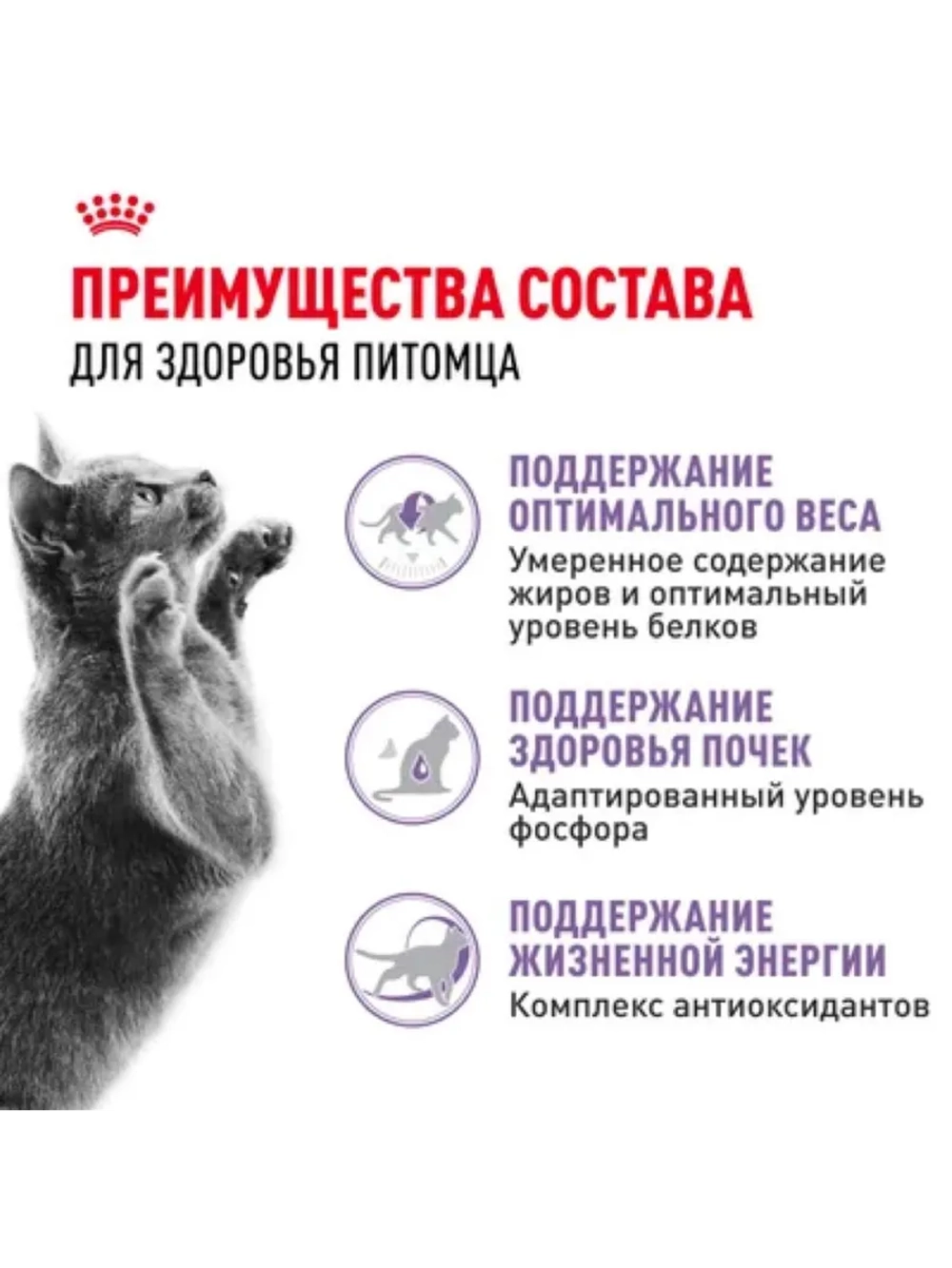 Sterilised 7+ Корм для кошек старше 7 лет 3,5кг