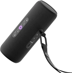 Умная колонка Yandex Стрит Алиса черный 30W 2.0 BT/Wi-Fi 10м 3300mAh (YNDX-00030BLK)